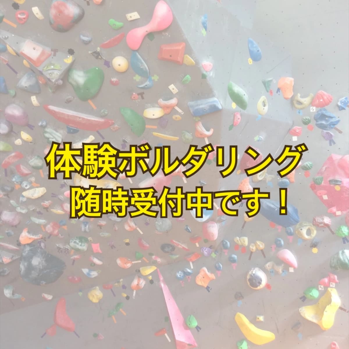 スハラ クライミングジム ボルダリング 池田店 画像 36