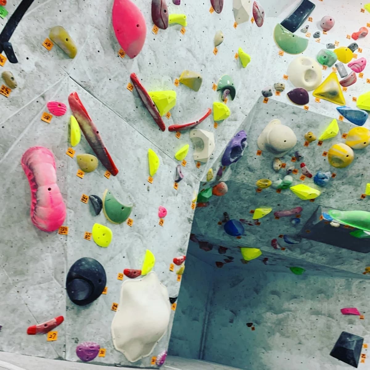 スハラ クライミングジム ボルダリング 池田店 画像 46