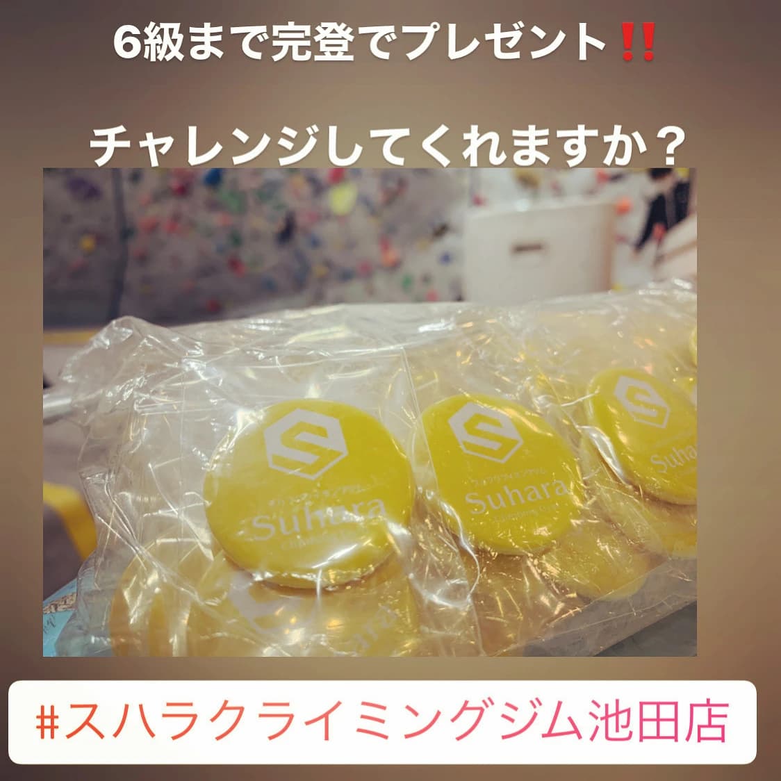 スハラ クライミングジム ボルダリング 池田店のサムネイル画像 3