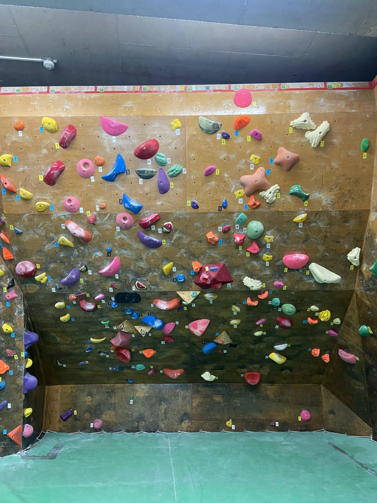 サムネイル画像 6