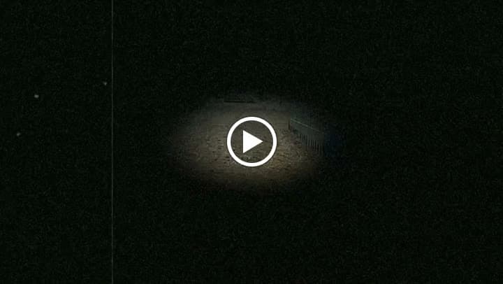 Chakra(チャクラ) キッズヨガ 松陰町教室 画像 24