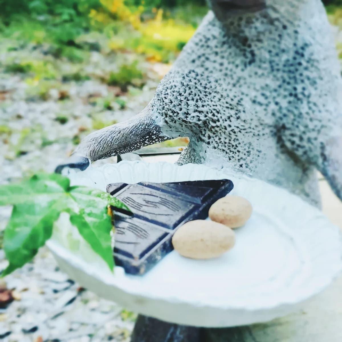 Chakra(チャクラ) キッズヨガ 松陰町教室 画像 31