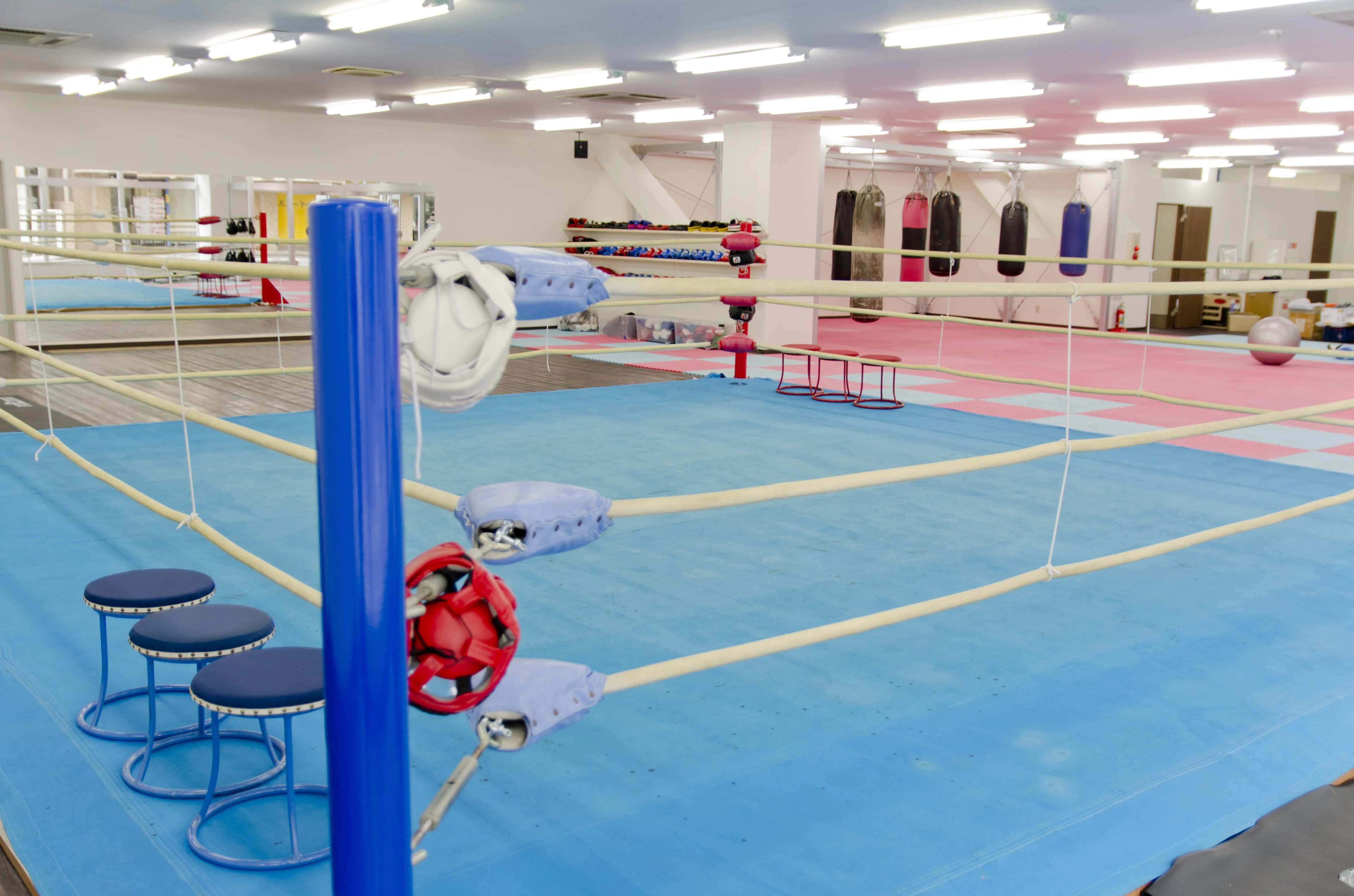 Champ(チャンプ) ボクシング 古川教室のメイン画像