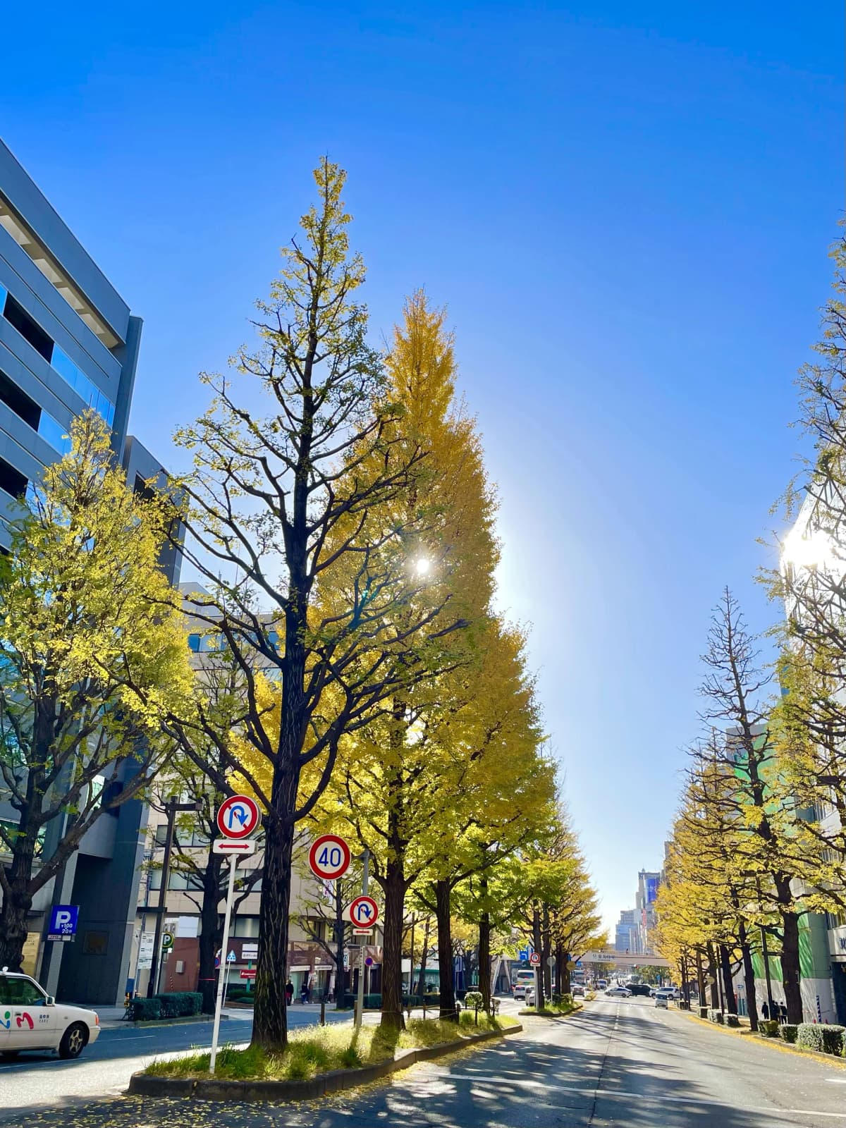 サムネイル画像 3