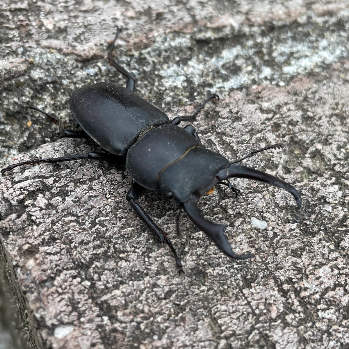 サムネイル画像 5