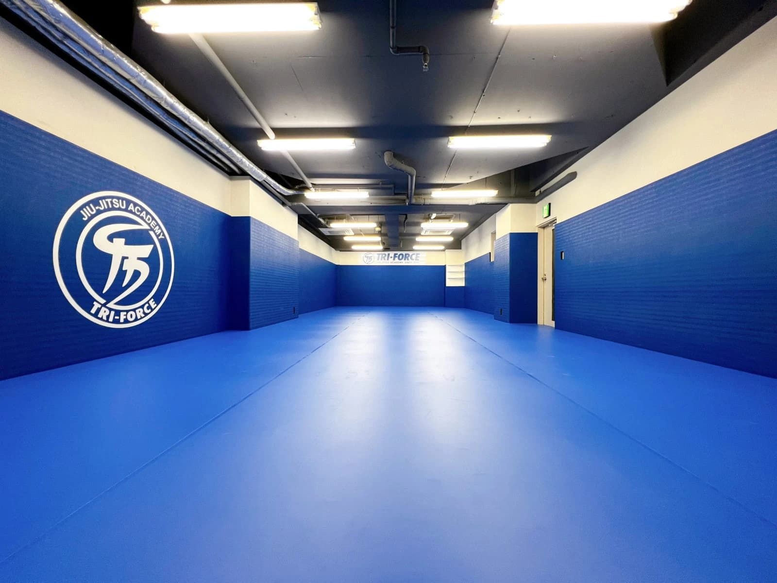 TRY-FORCE(トライフォース) ブラジリアン柔術 SHINJUKUのサムネイル画像 4