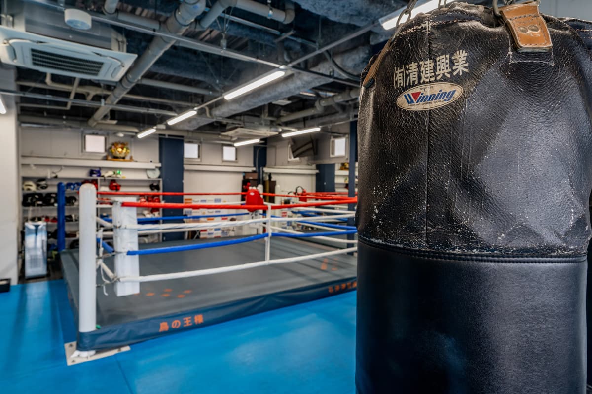 WORLDSPORTS(ワールドスポーツ) ボクシング 竹の塚教室 画像 26