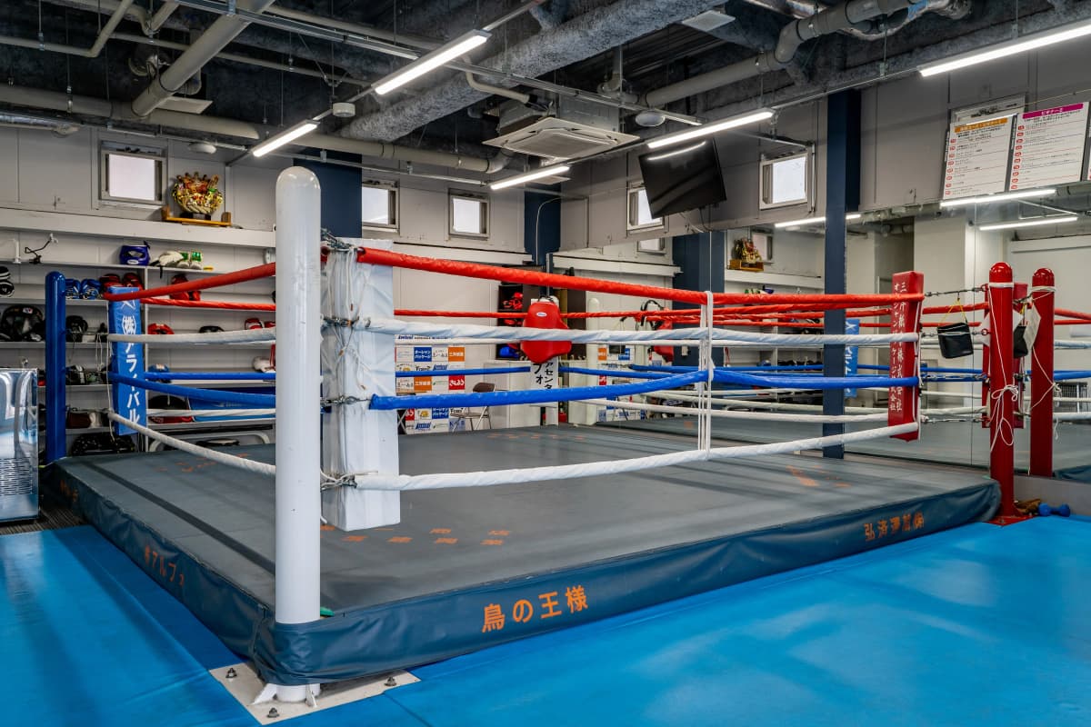 WORLDSPORTS(ワールドスポーツ) ボクシング 竹の塚教室 画像 33
