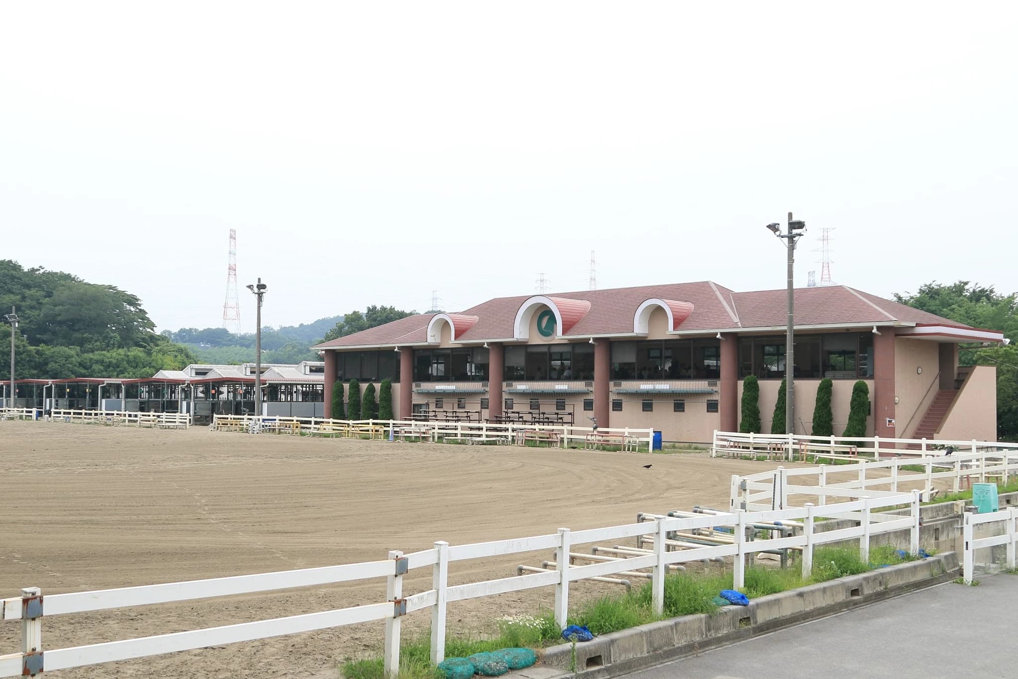 乗馬クラブCRANE(クレイン) 乗馬クラブ クレイン東京のメイン画像