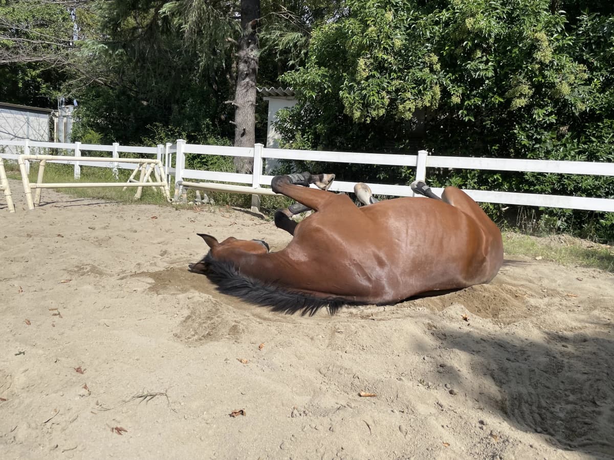 サムネイル画像 4