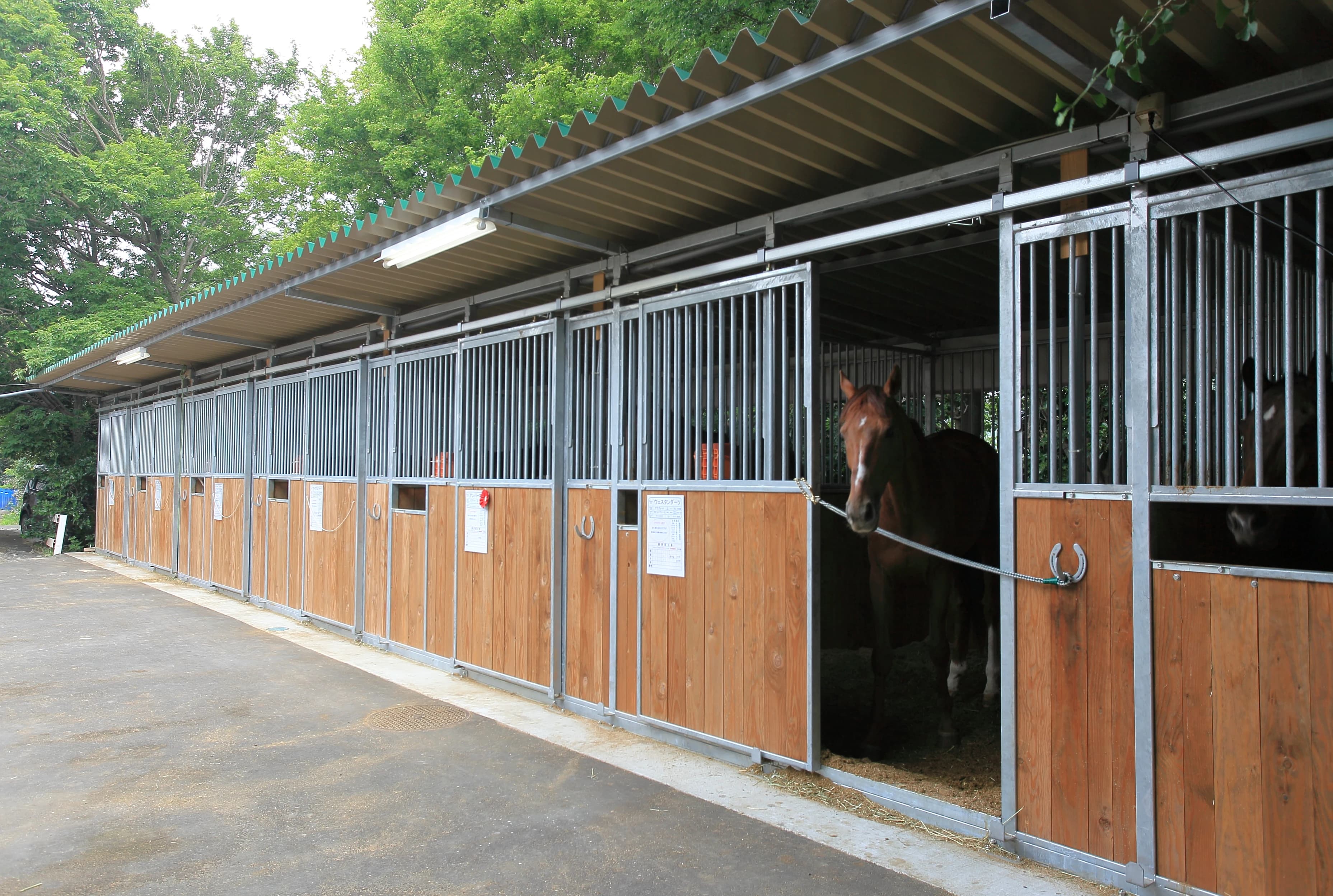 乗馬クラブCRANE(クレイン) 乗馬クラブ クレイン東京のサムネイル画像 4