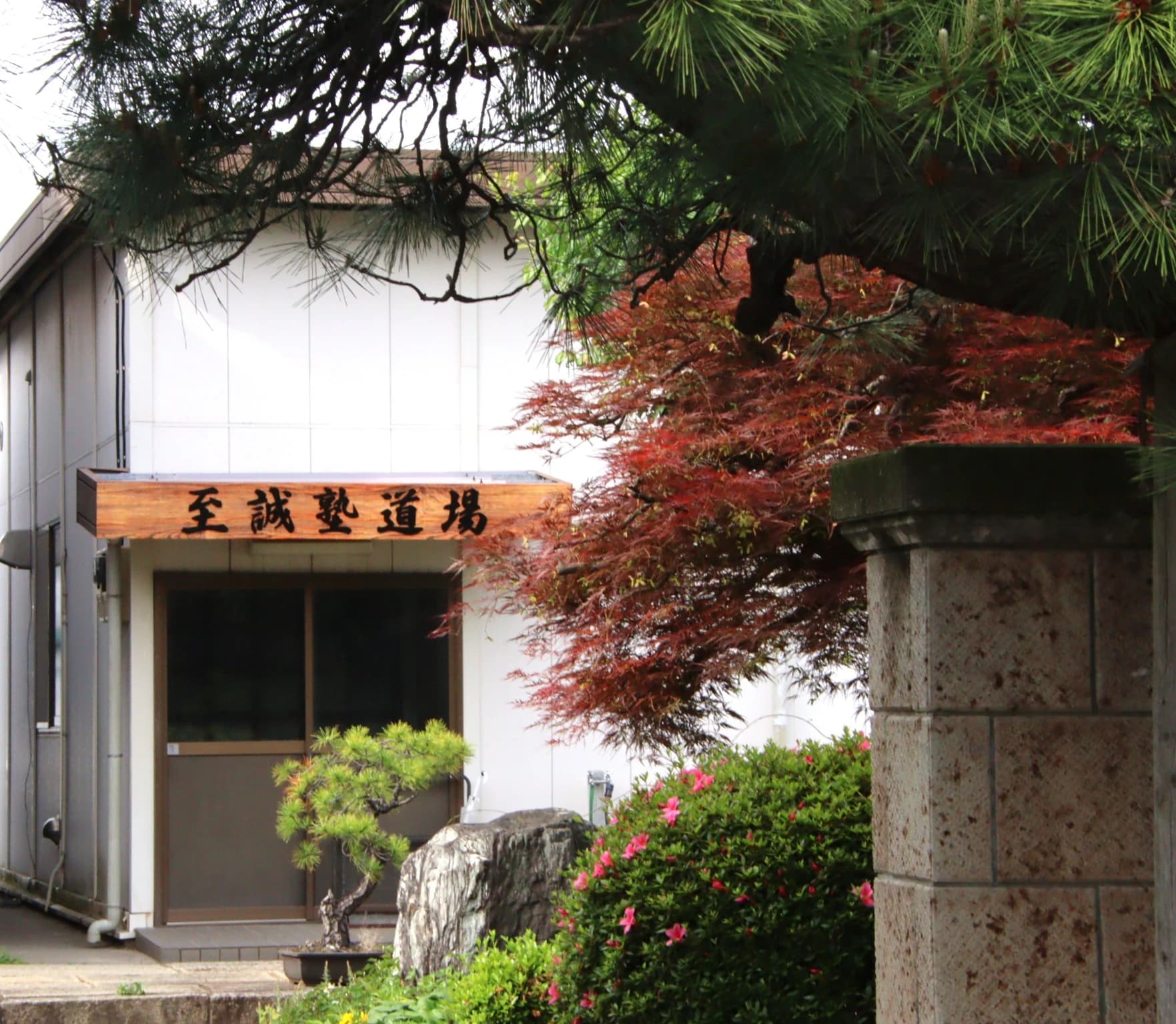 太気拳至誠塾 柴又教室のサムネイル画像 2