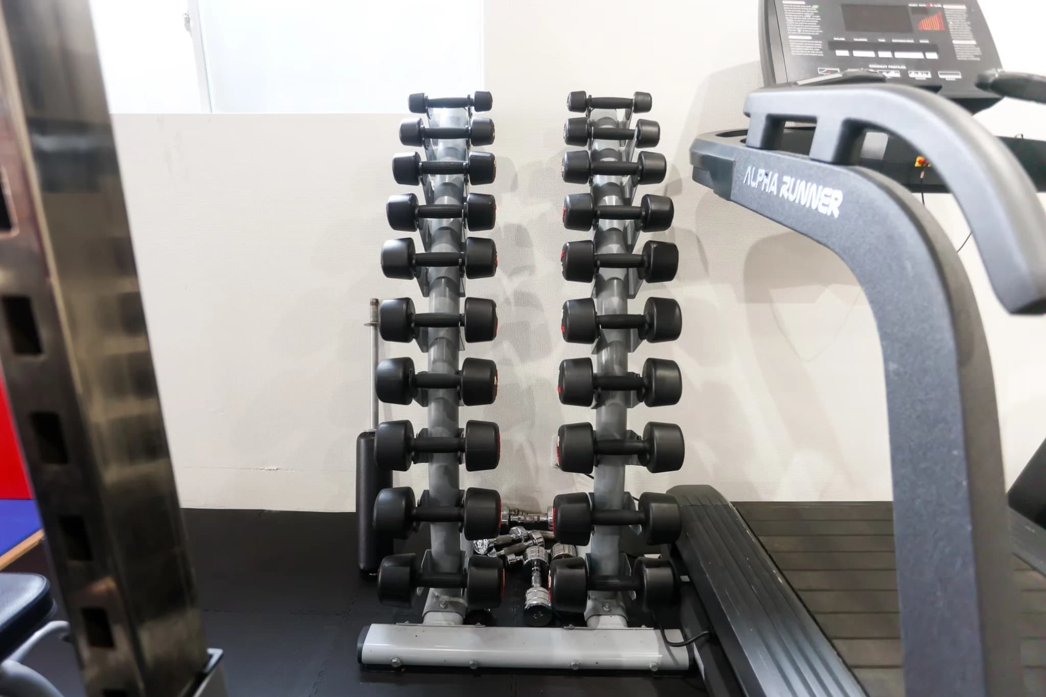 トイカツ道場 キックボクシング 中野トイカツ道場のサムネイル画像 5