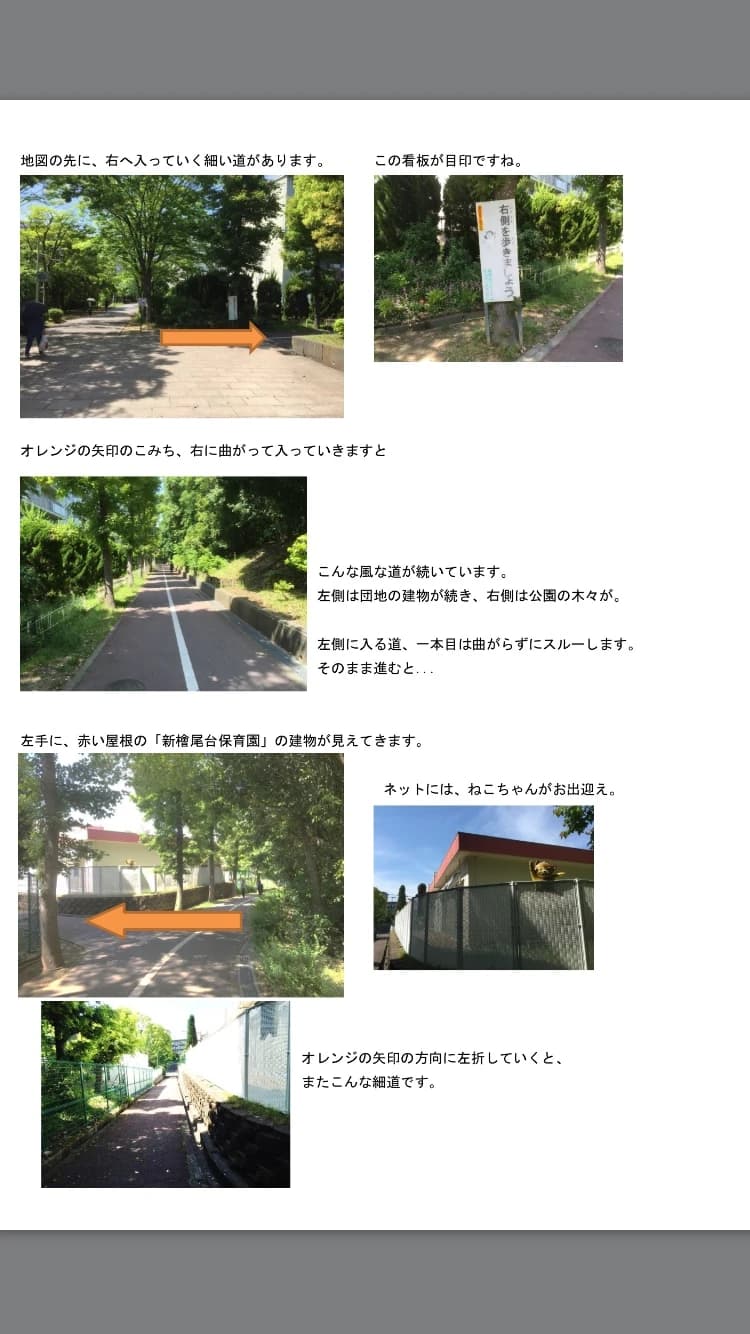 サムネイル画像 6