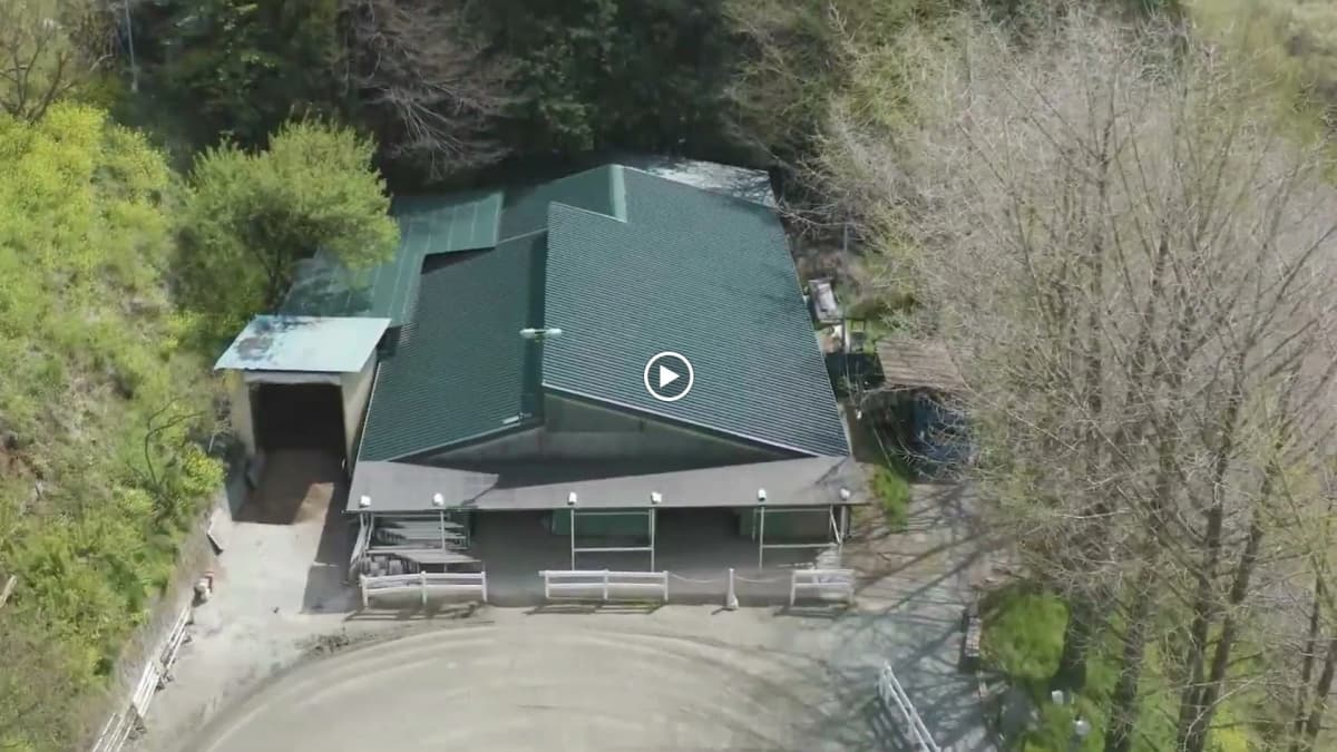 乗馬クラブCRANE(クレイン) 乗馬クラブ クレイン神奈川のメイン画像