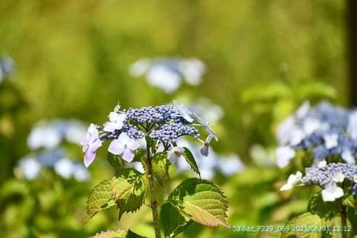 OISO乗馬クラブ 寺坂教室のサムネイル画像 5