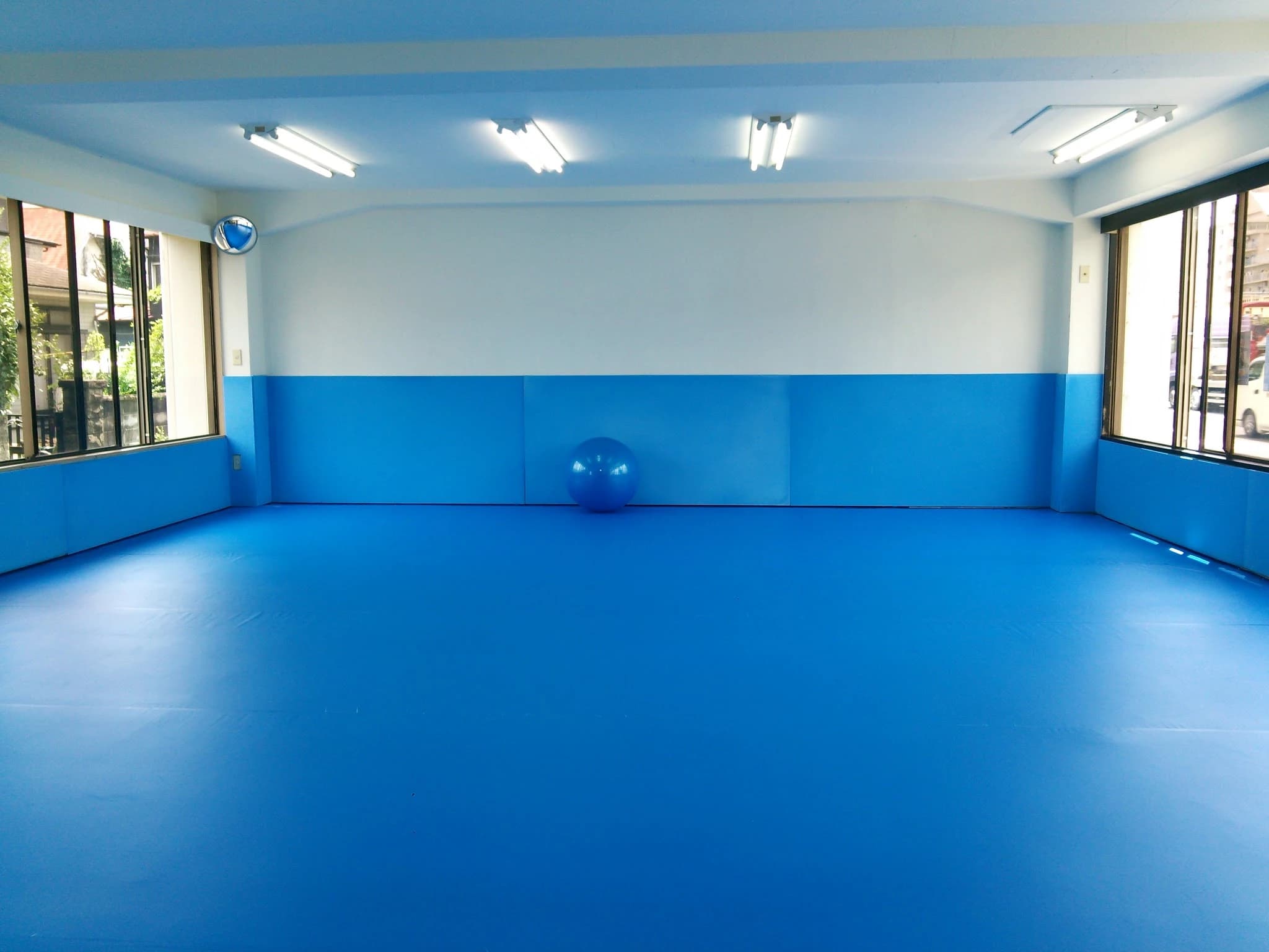 アンビシャス柔術アカデミー 水引教室のメイン画像