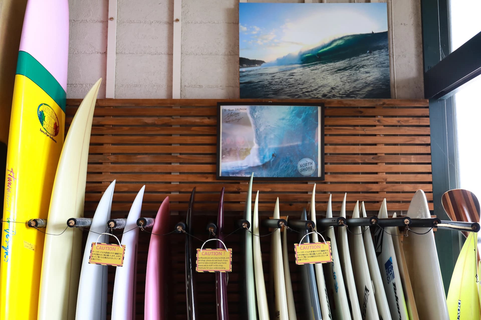 Sylphide Club(シルフィードクラブ) サーフィン 片瀬海岸教室のメイン画像