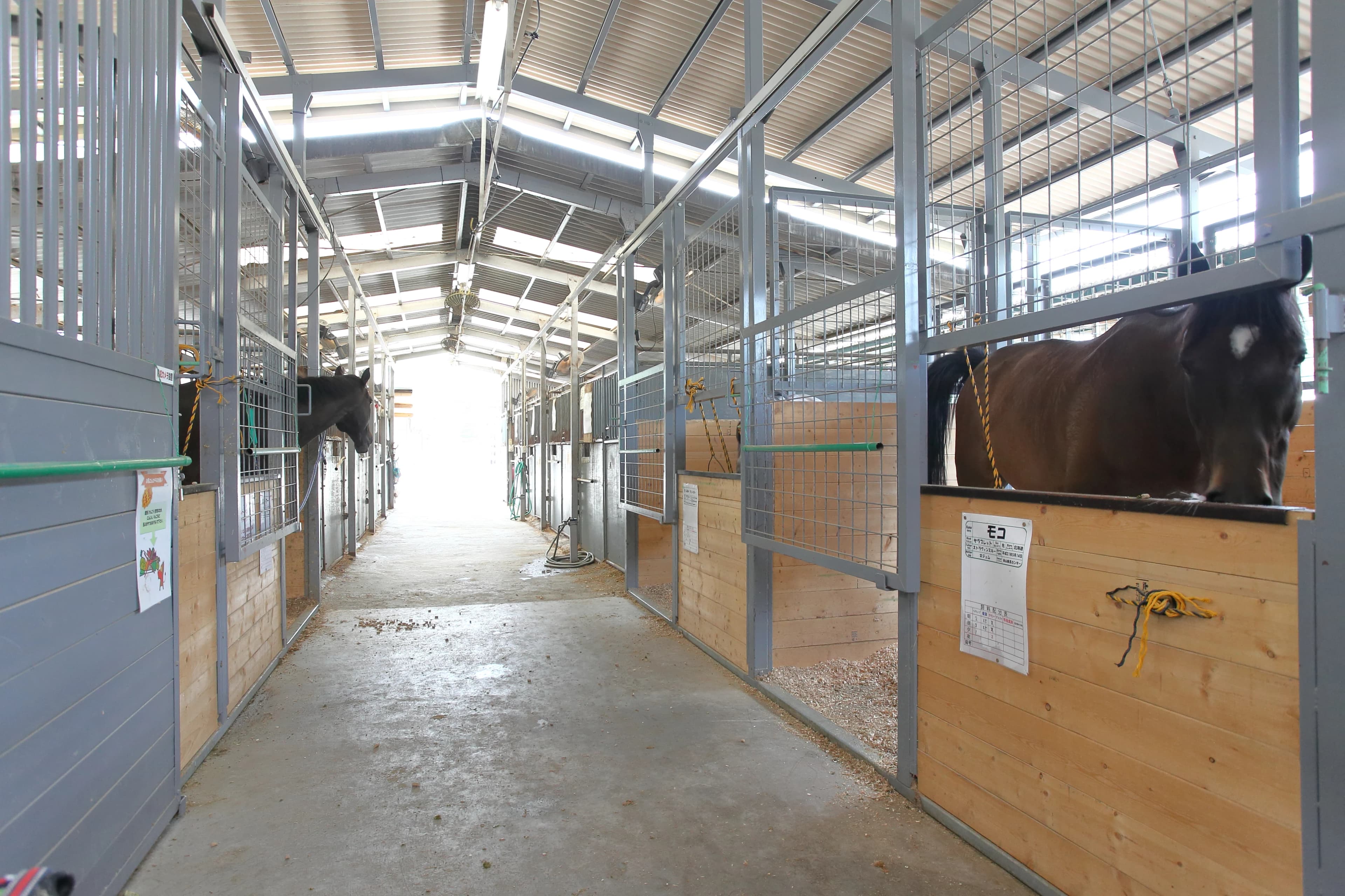 乗馬クラブCRANE(クレイン) SRC狭山乗馬センターのメイン画像