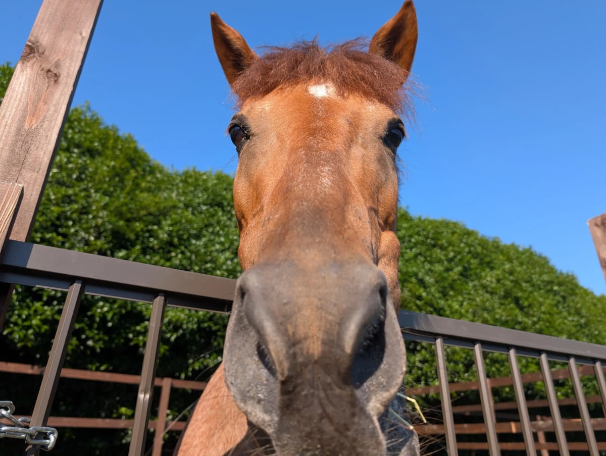 サムネイル画像 6