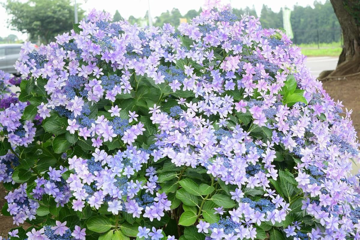 サムネイル画像 3