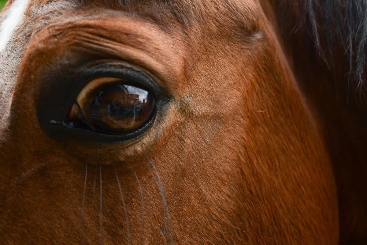 サムネイル画像 4