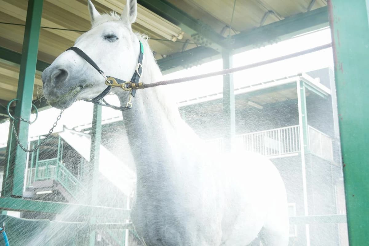 サムネイル画像 6