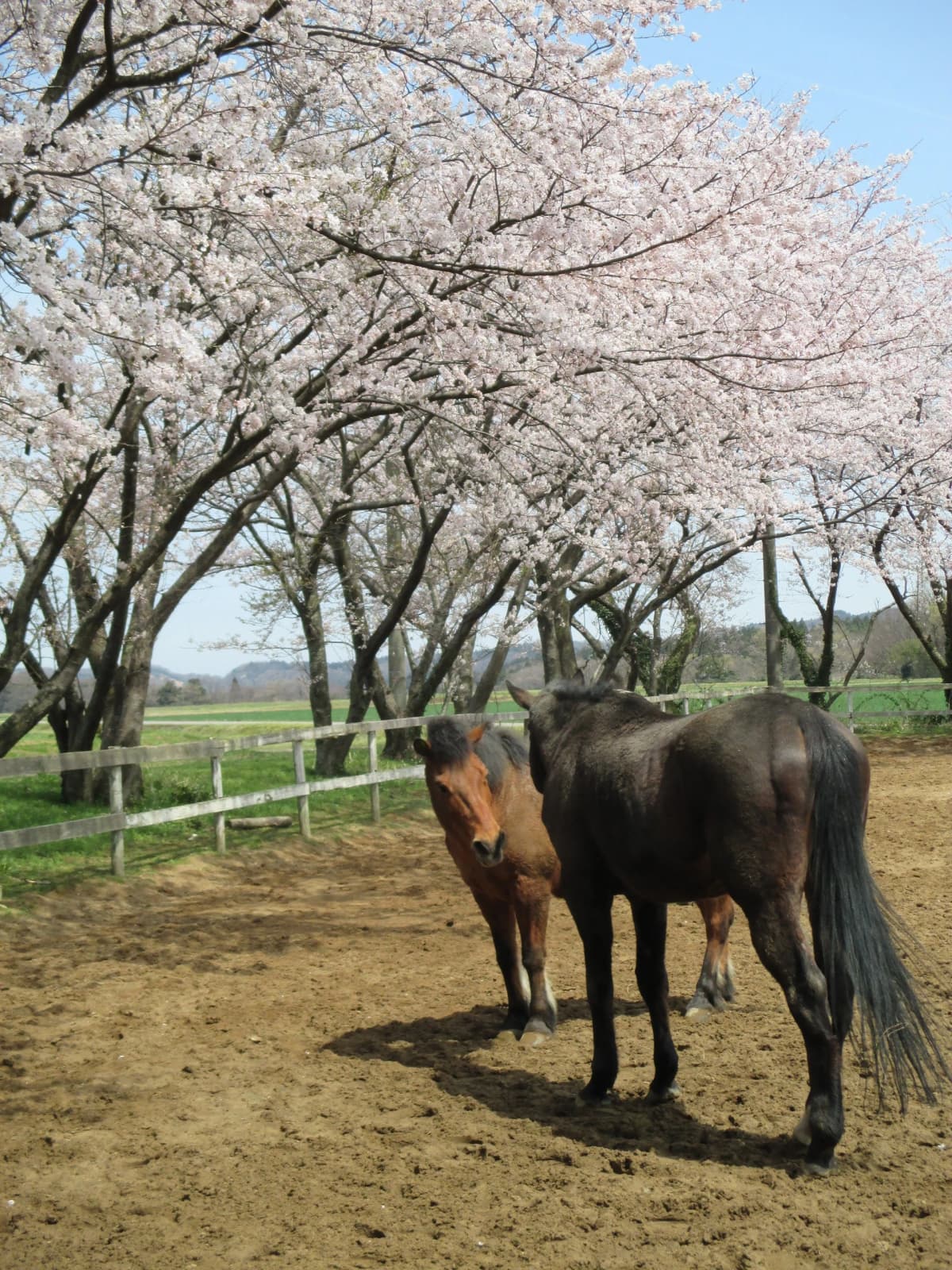 サムネイル画像 3