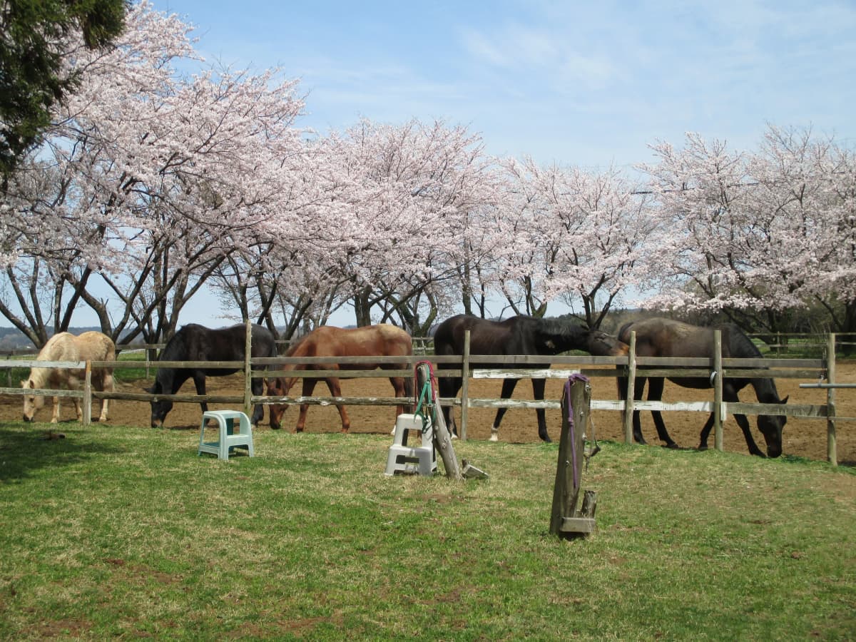 サムネイル画像 4