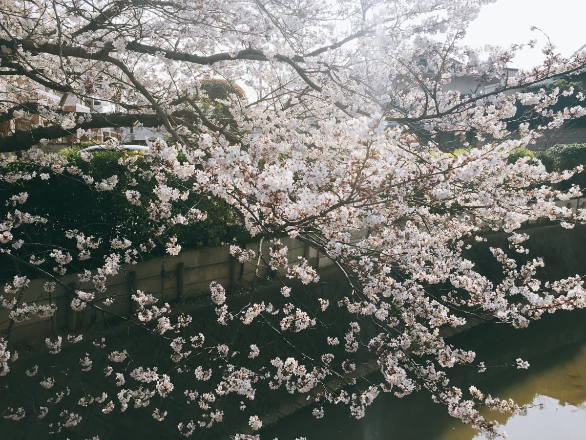 禎紫園 柔術 大岩町字小山塚教室 画像 22