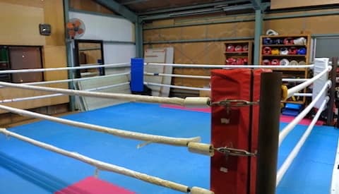 アニマルハウス キックボクシング 拾石町教室のメイン画像