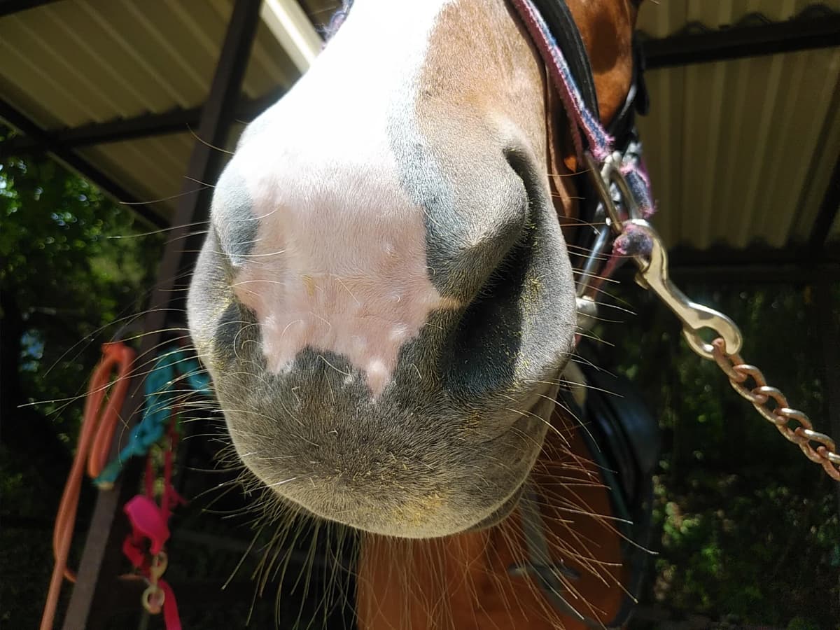 サムネイル画像 6