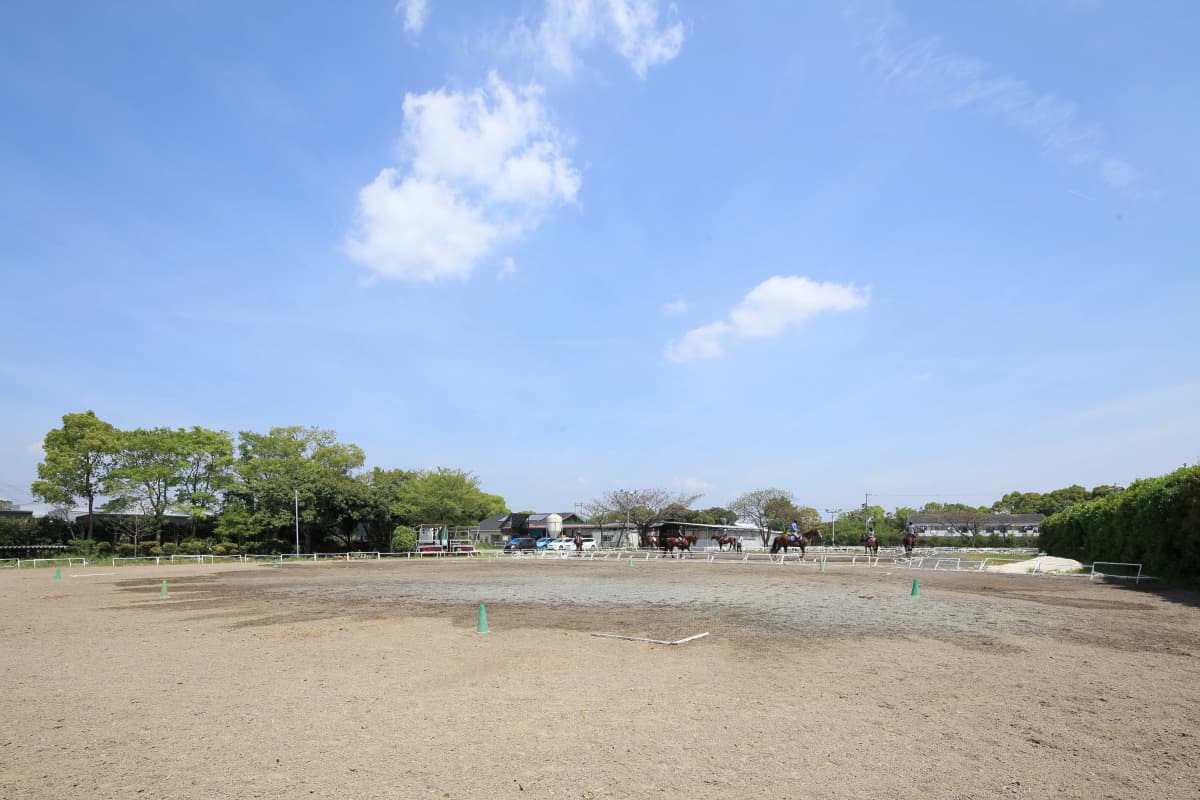 サムネイル画像 5