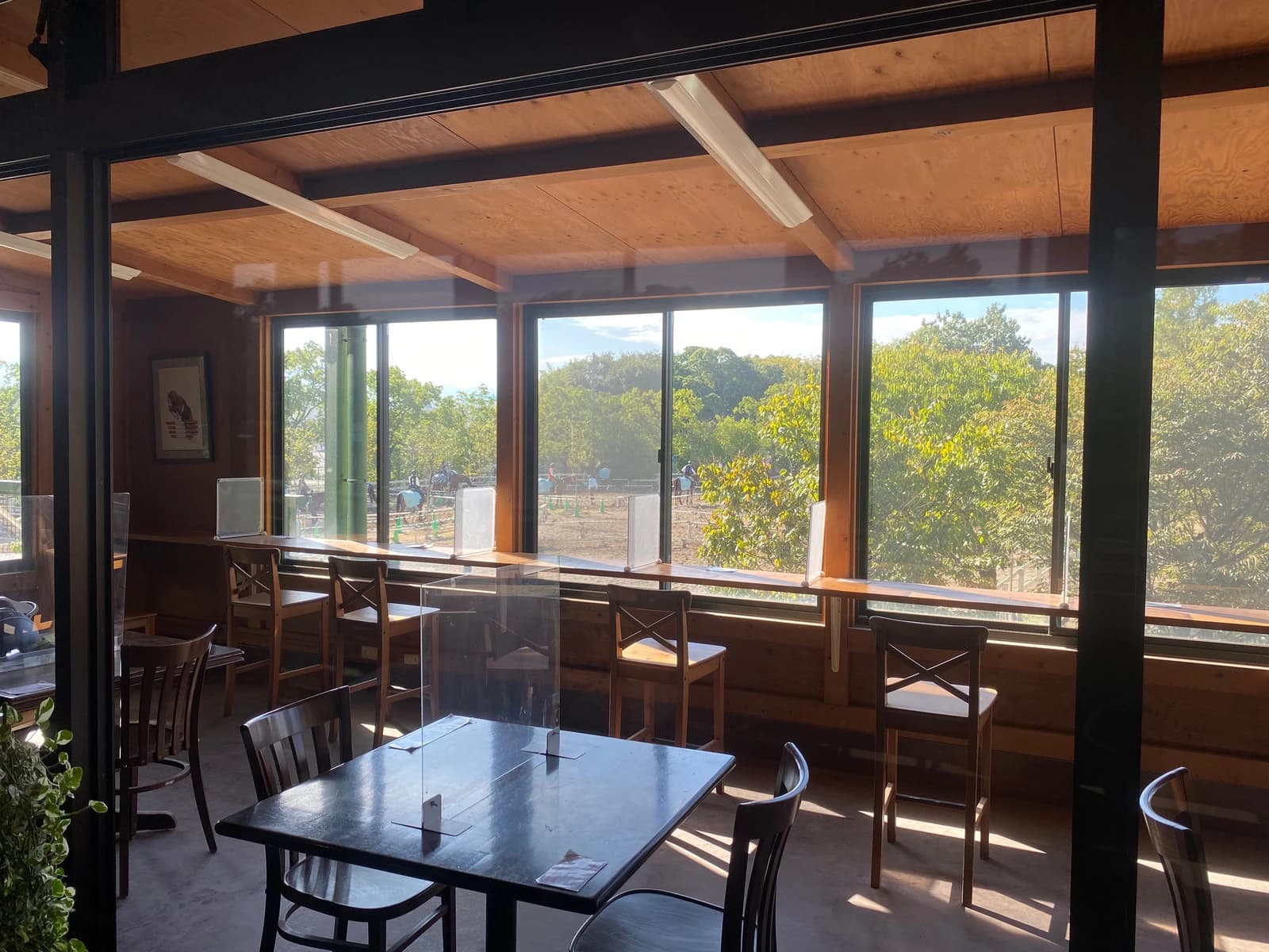 乗馬クラブCRANE(クレイン) 乗馬クラブ クレイン大阪のサムネイル画像 3