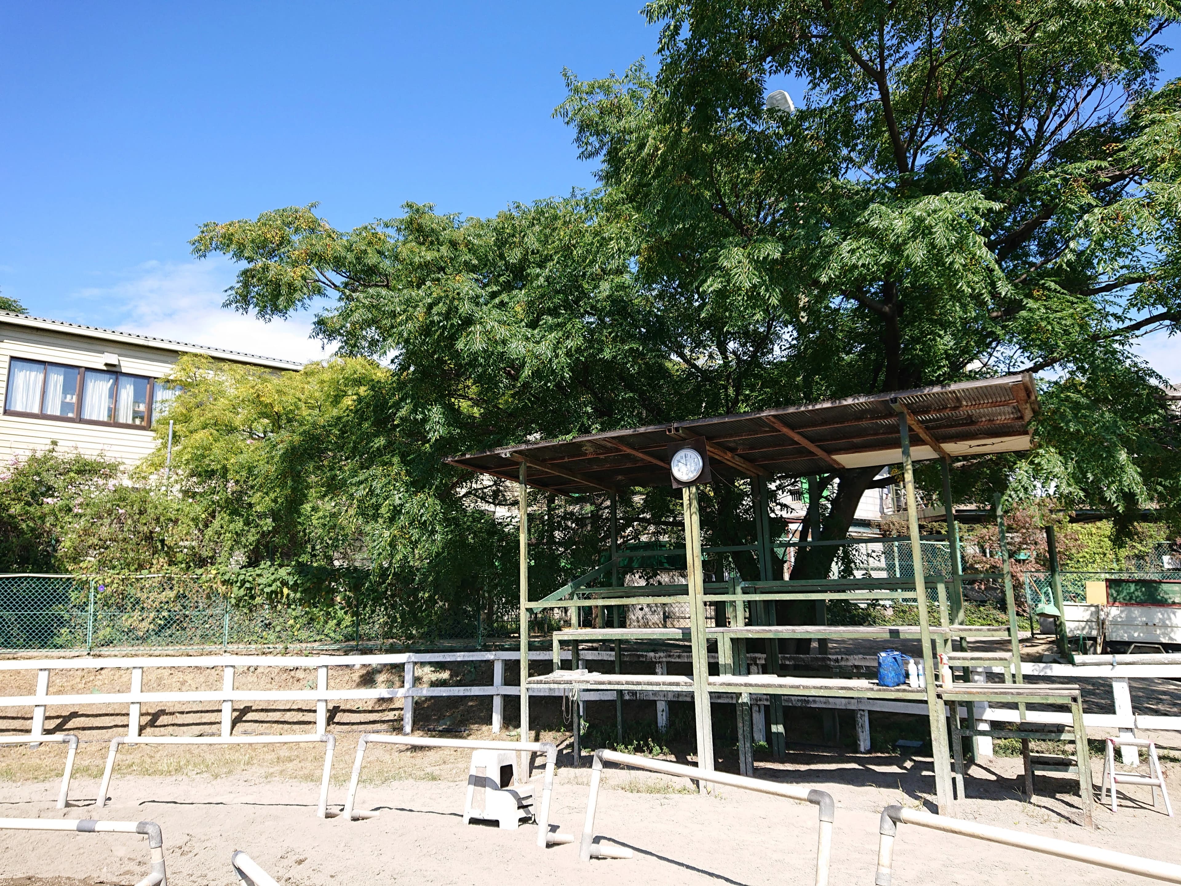 乗馬クラブCRANE(クレイン) 乗馬クラブ クレイン大阪のサムネイル画像 4