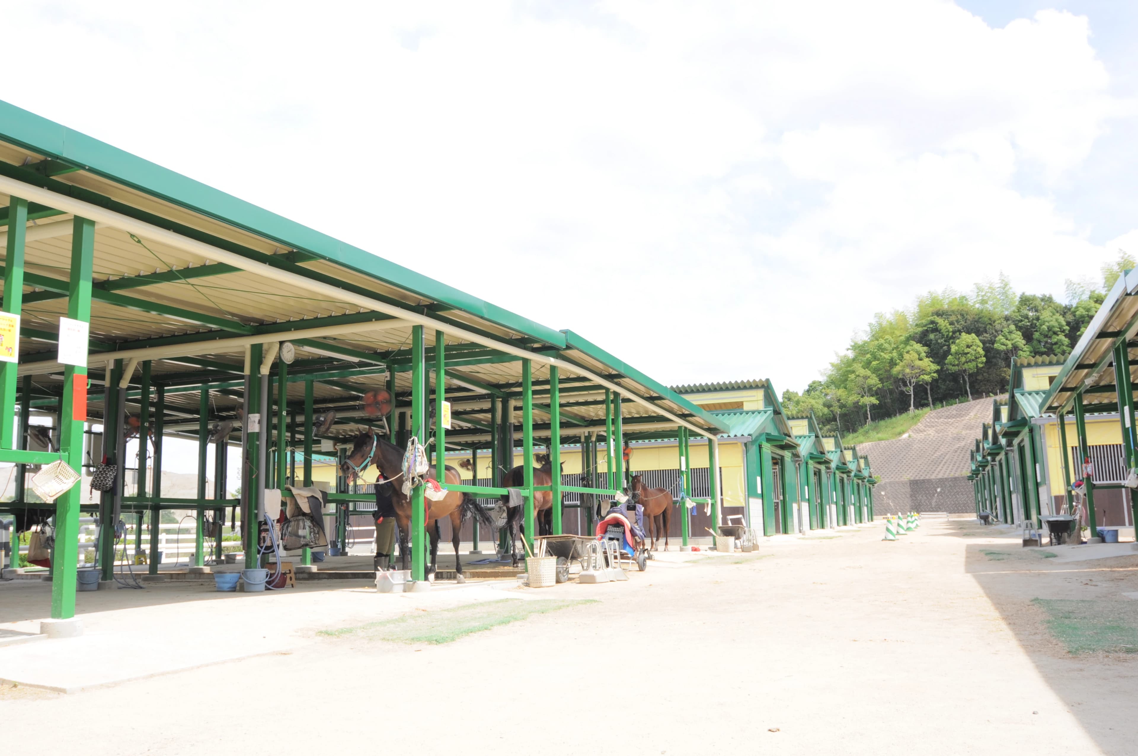 乗馬クラブCRANE(クレイン) 乗馬クラブ クレイン学研枚方のサムネイル画像 2