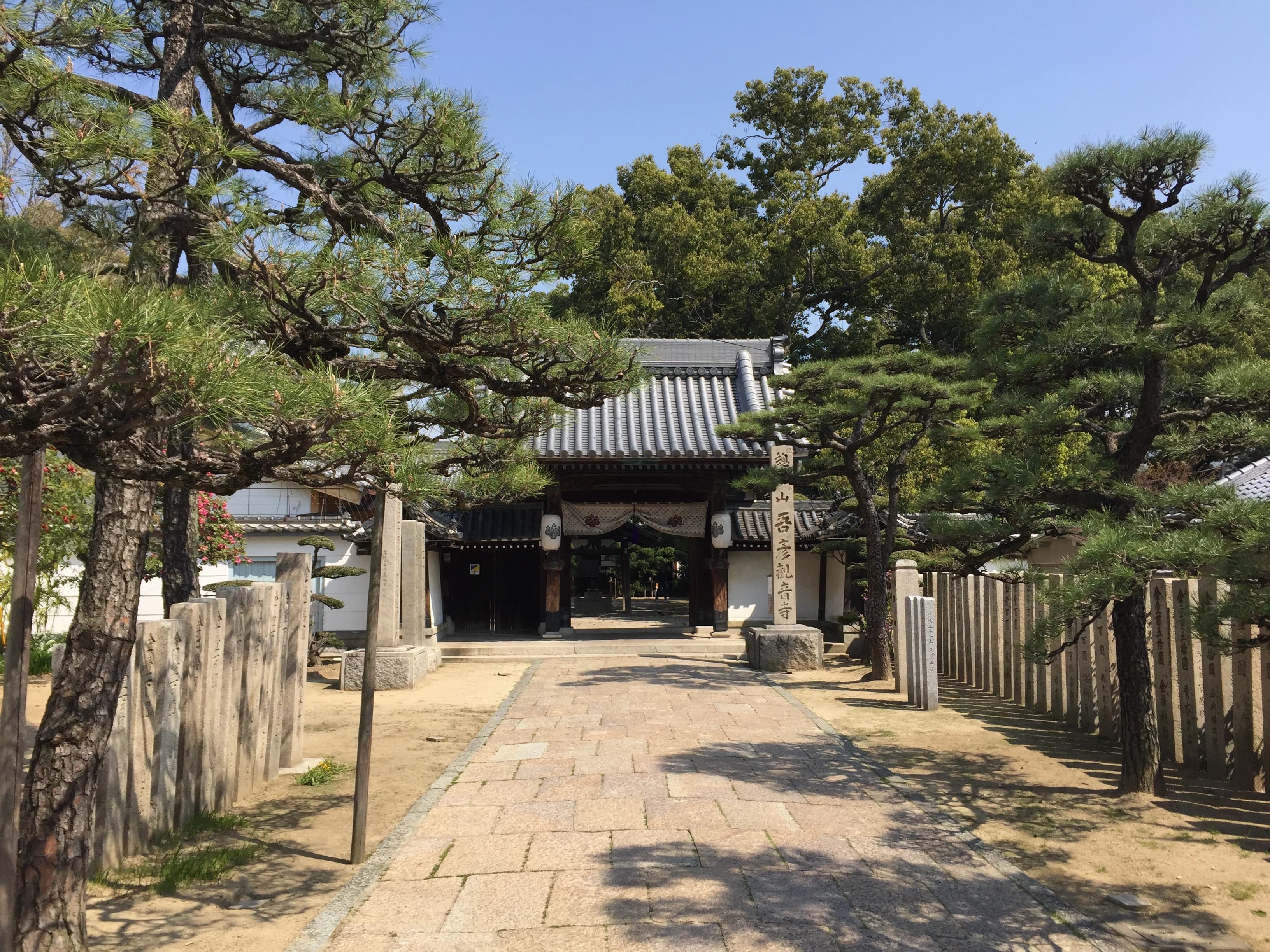 心身統一合気道 大阪あびこ教室のサムネイル画像 5