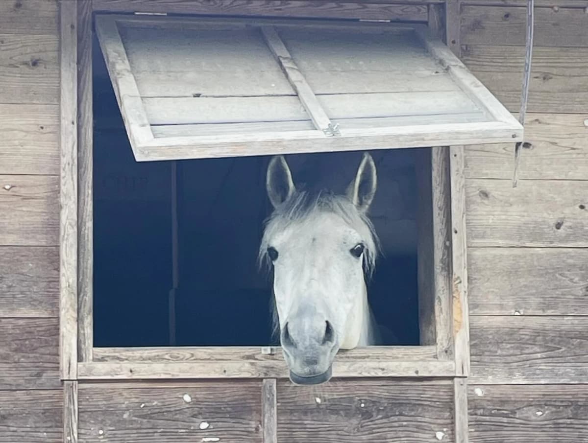 サムネイル画像 3