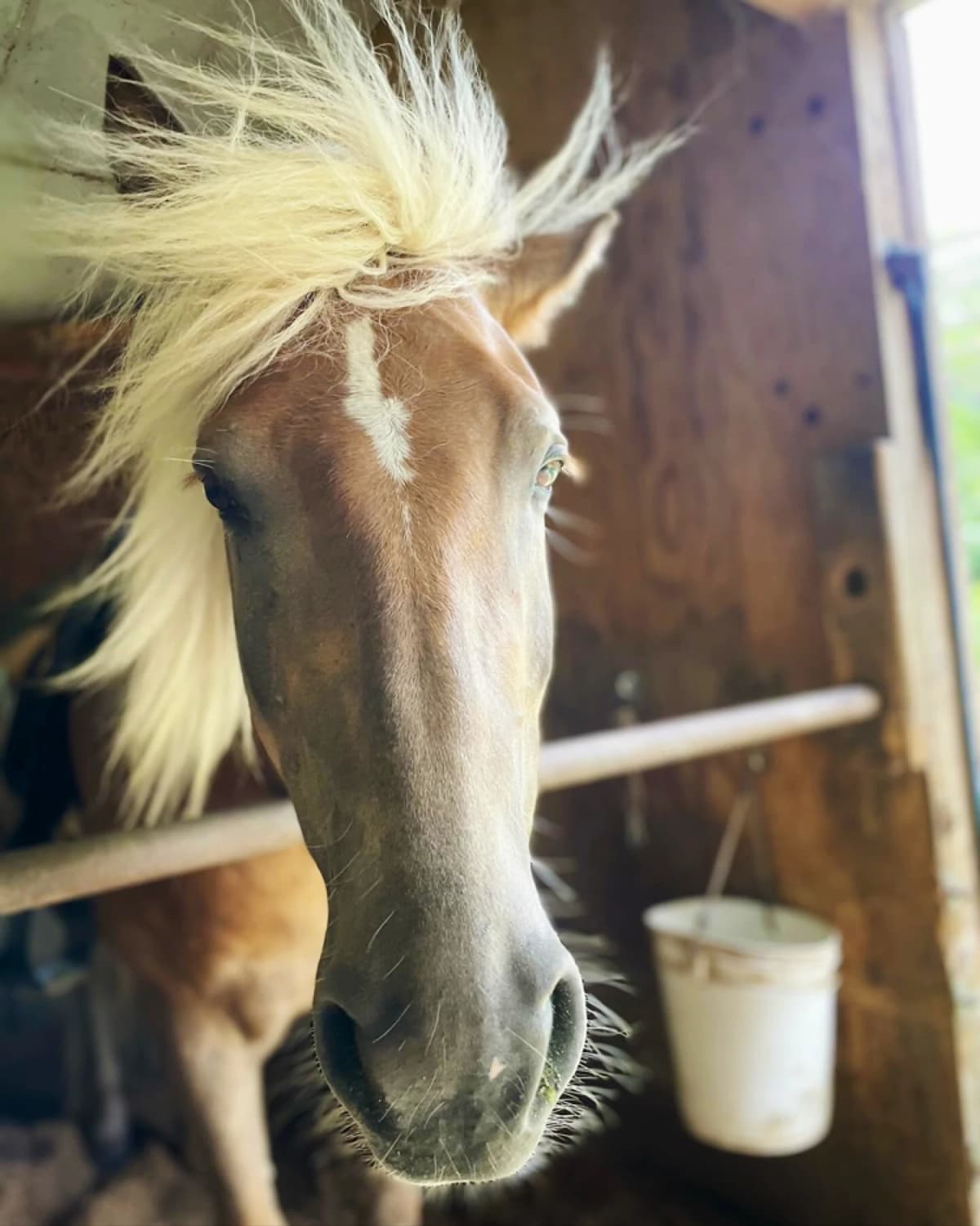 サムネイル画像 6