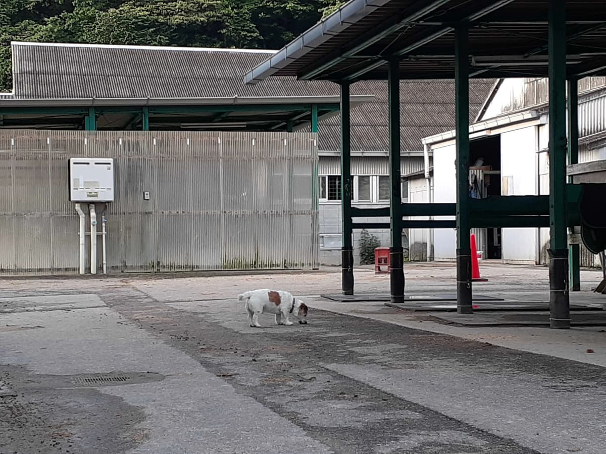 サムネイル画像 4