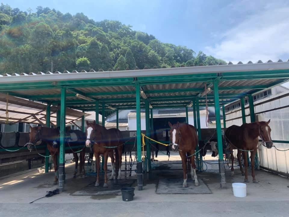 水口乗馬クラブ 水口町教室のサムネイル画像 4