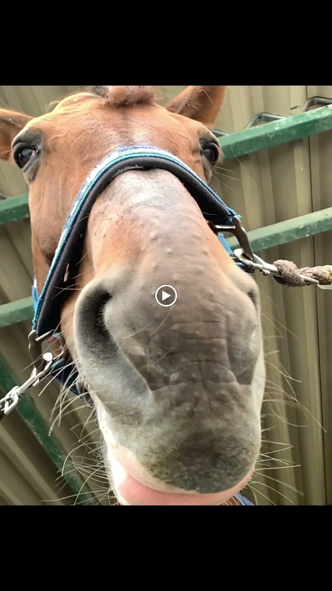 乗馬クラブCRANE(クレイン) 乗馬クラブ クレインオリンピックパークのメイン画像