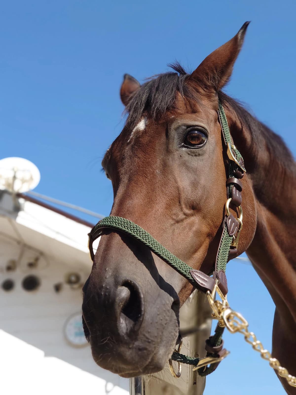 乗馬クラブCRANE(クレイン) 両備乗馬クラブ・クレイン岡山 画像 18