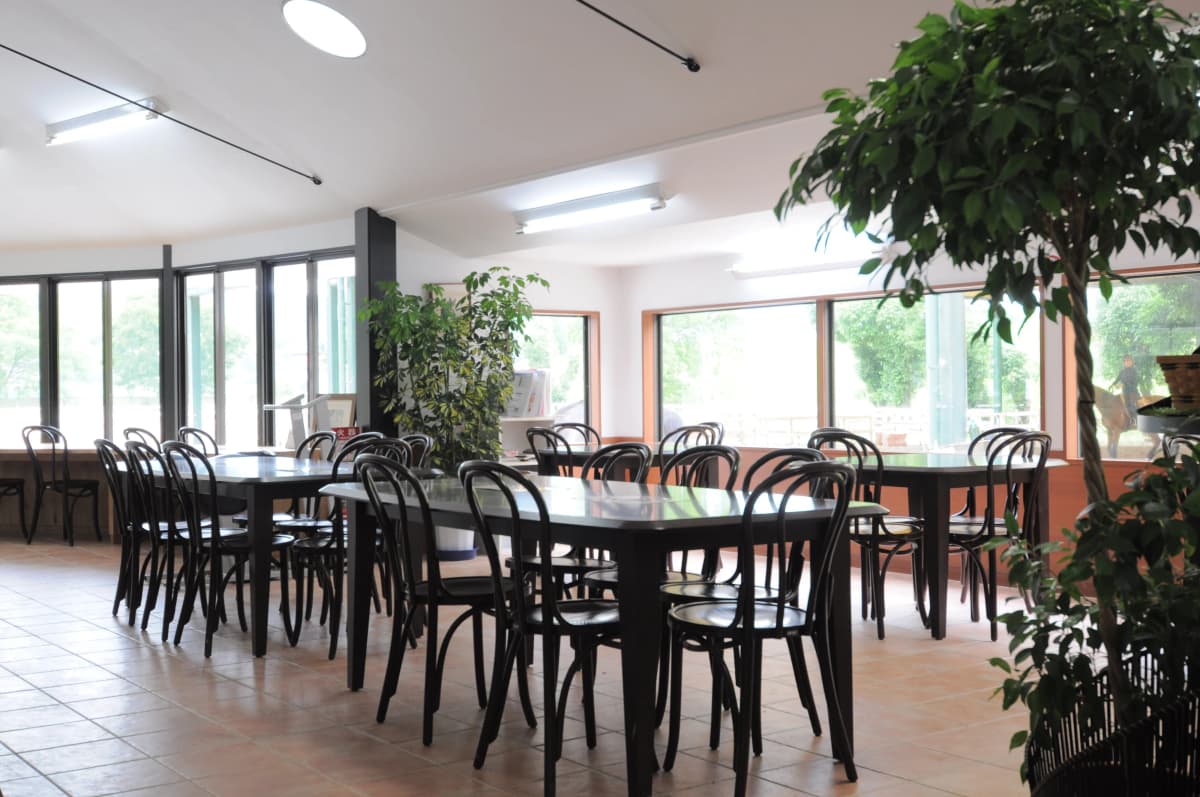 サムネイル画像 6