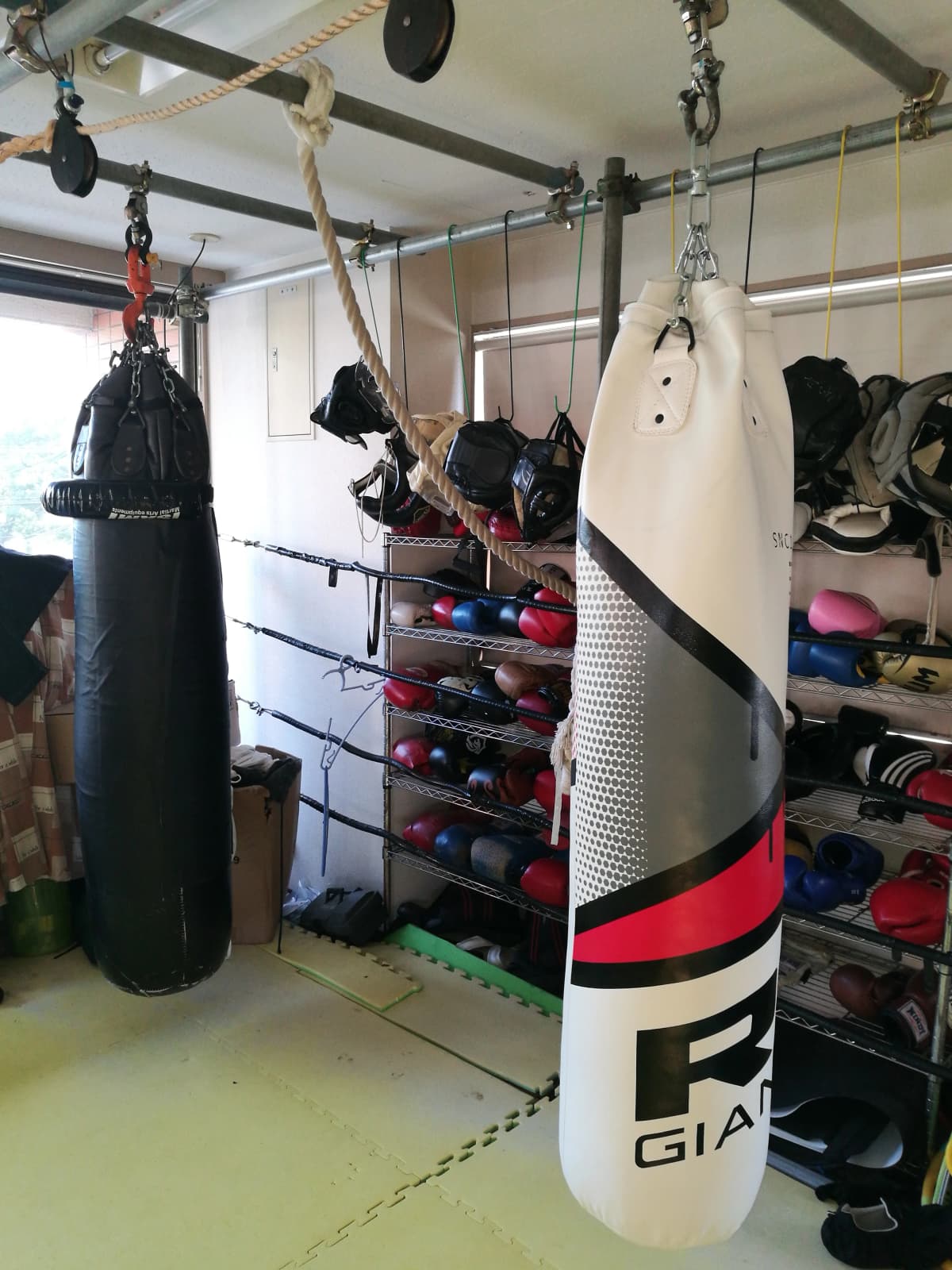 サムネイル画像 6