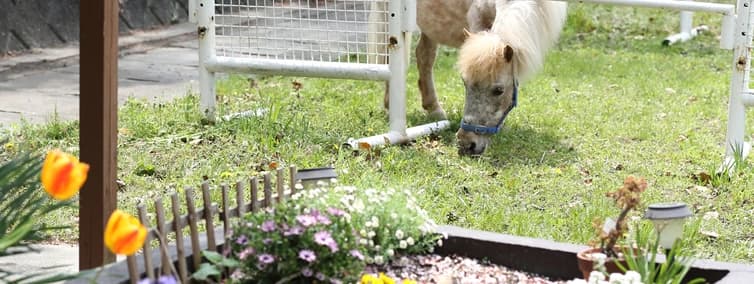 サムネイル画像 5