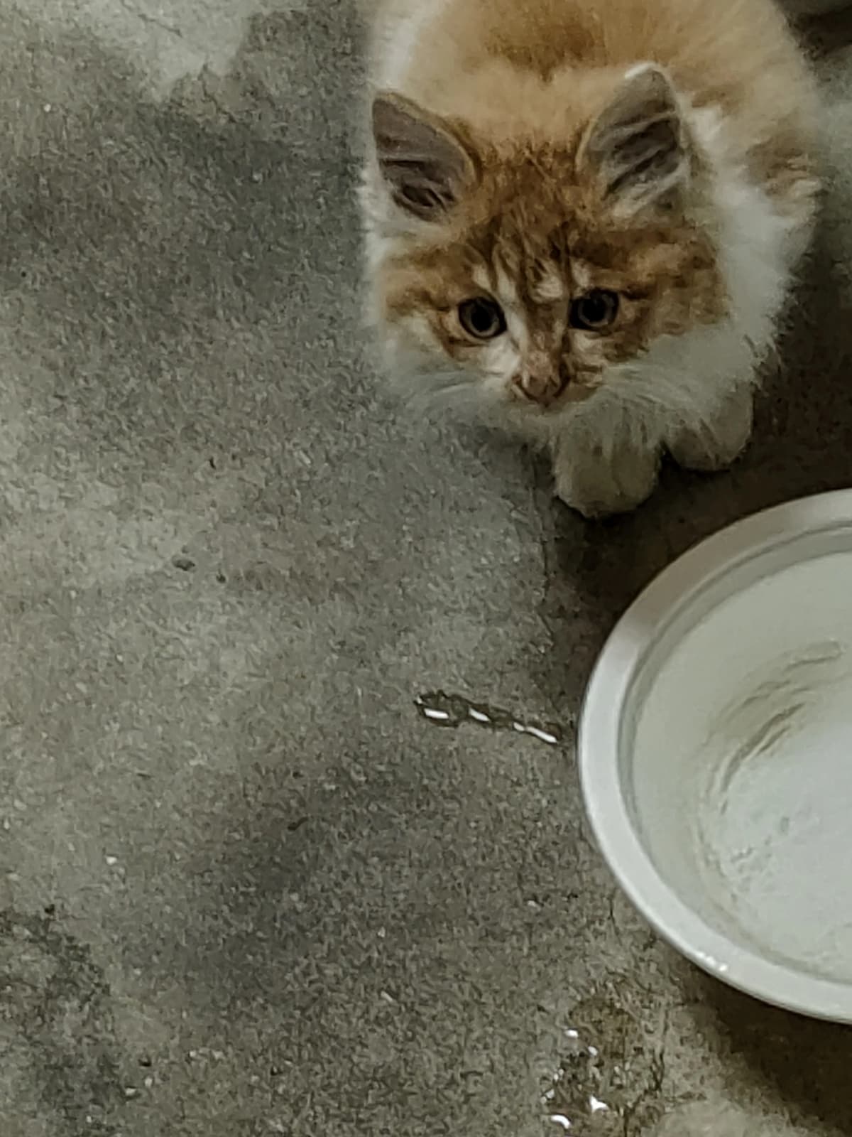 サムネイル画像 4