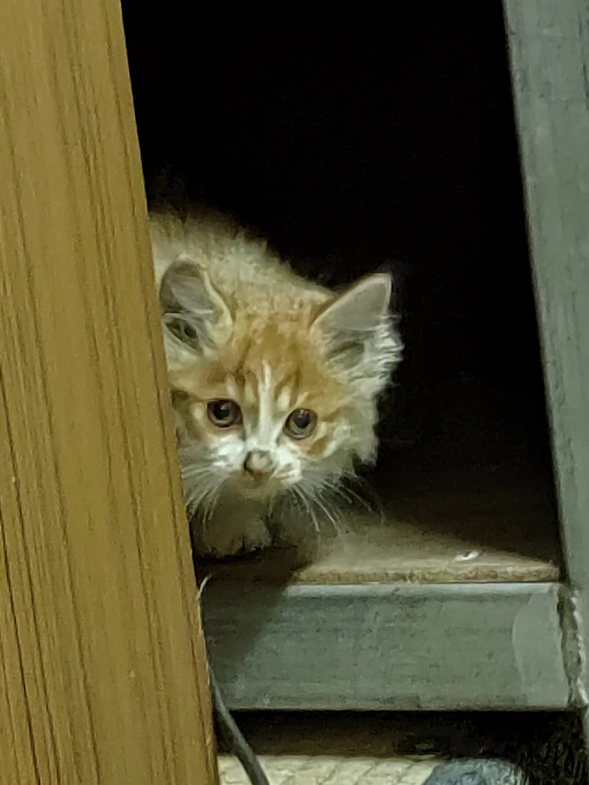 サムネイル画像 6