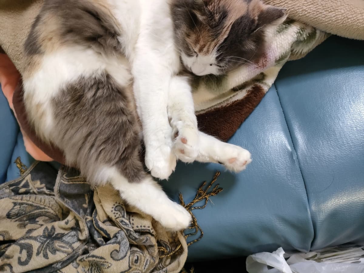 サムネイル画像 3