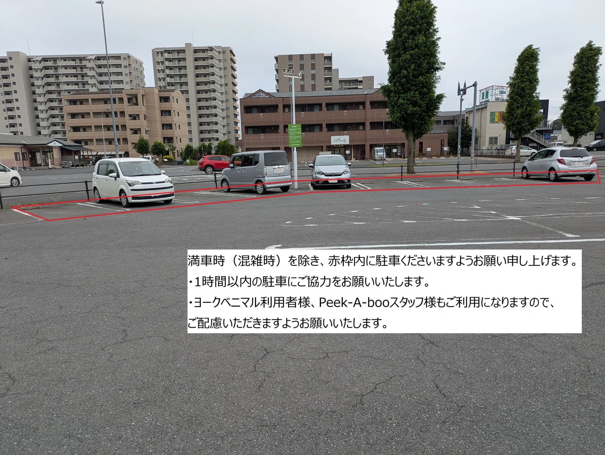 IB English ひたち野うしく校のサムネイル画像 5